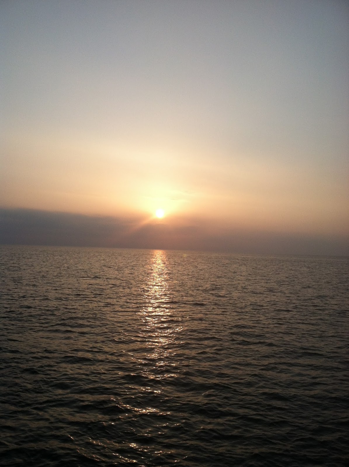 Bowdoin Recovery Services